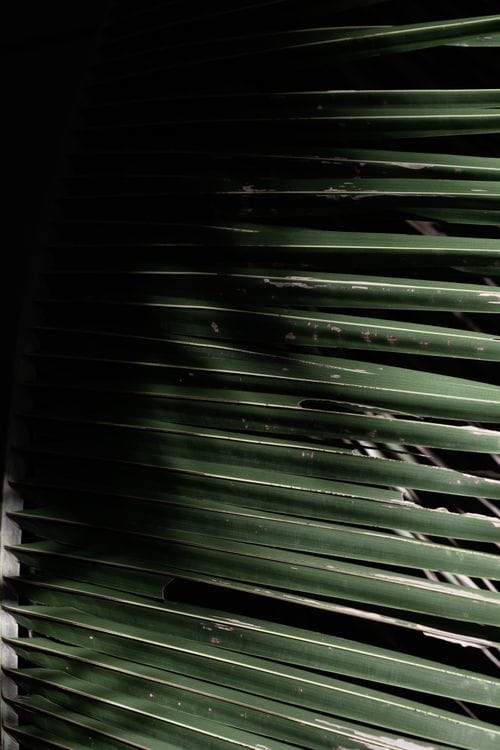 Motorized Blinds in Panama: Smart Window Treatments with Alexa & Google Home